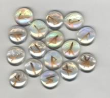 Younger Futhark Glass Runes