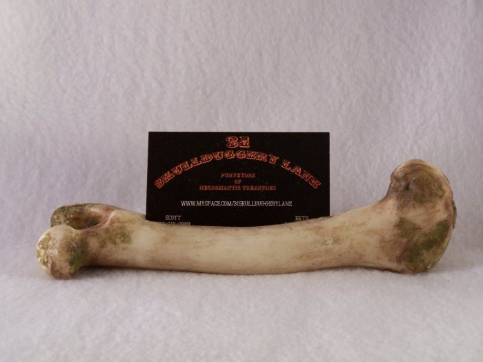 Bone Card Holders