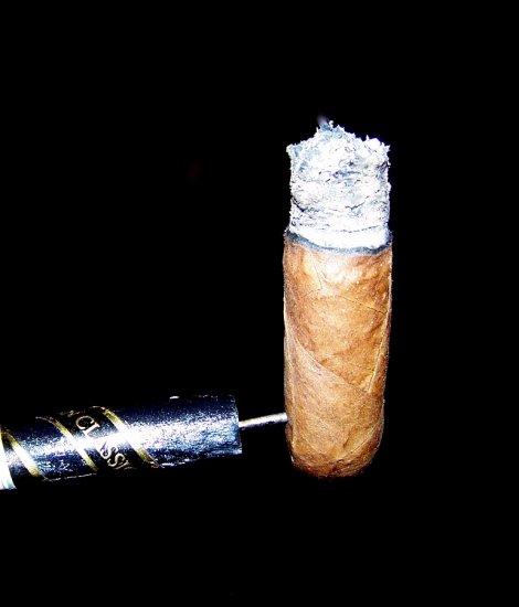 Bone Cigar Handles - large