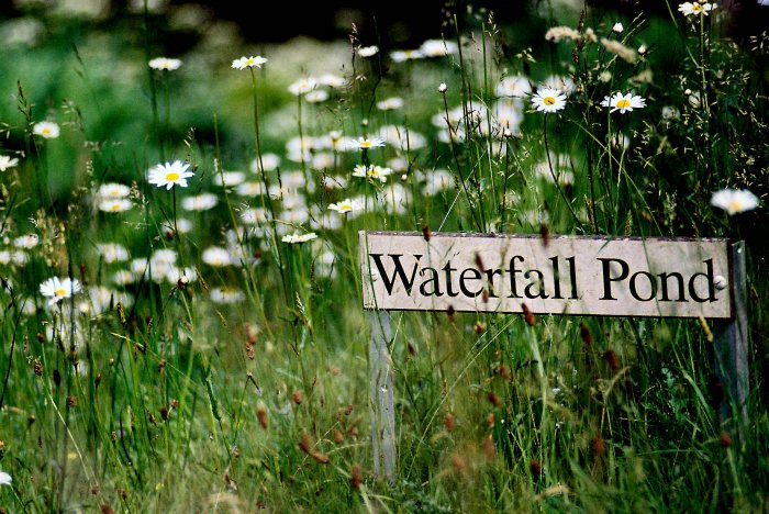 Photography Print - A4 - Waterfall Pond