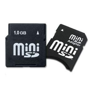 1GB Mini Secure Digital (miniSD) Memory Card