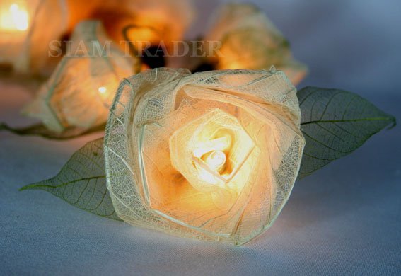 35 Bulb White Rose Flower Party / Christmas String Lights