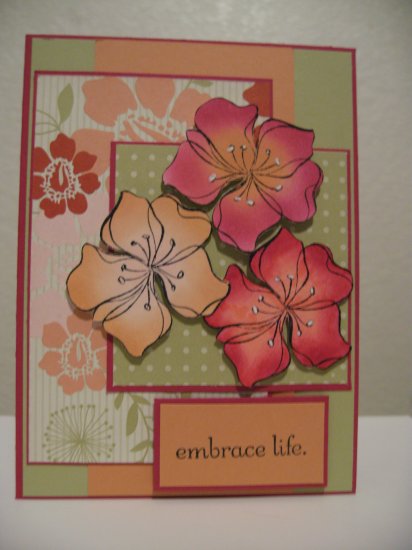 Embrace Life - Qty. 10