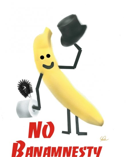 No Banamnesty T-Shirt Large