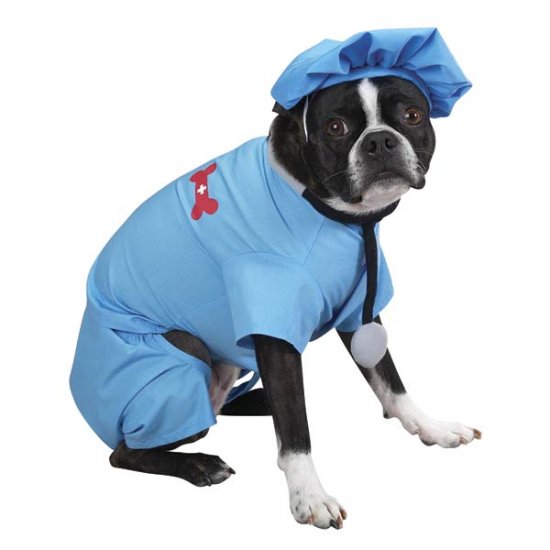 X-LARGE ER Doctor Dog Costume Hospital Style Pet Scrubs for Halloween