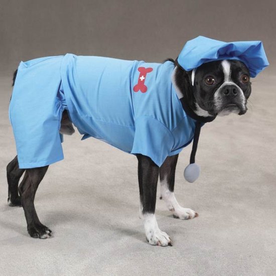 LARGE ER Doctor Dog Costume Hospital Style Pet Scrubs for Halloween