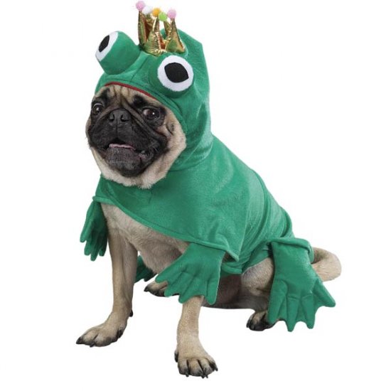 X-LARGE Prince of Frogs Pet Halloween Costume Dog Charming