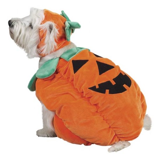 MEDIUM Pumpkin Pooch Costume jack-o-lantern Dog Halloween