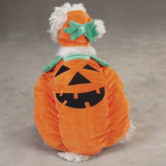 SMALL Pumpkin Pooch Costume jack-o-lantern Dog Halloween