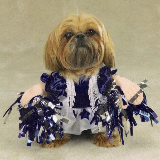 LARGE Spirit Paws Pet Halloween Costume Dog Cheerleader