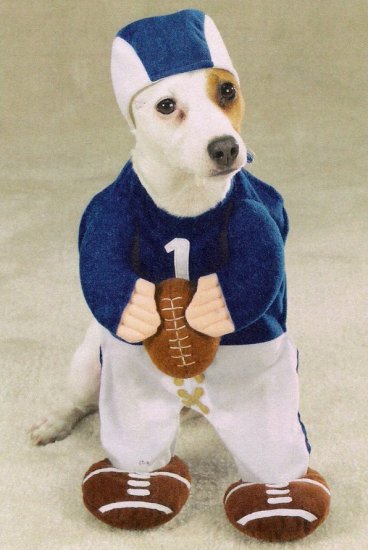 X-LARGE Football Fever Pet Halloween Costume Dog