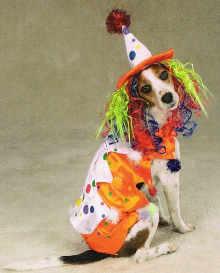 MEDIUM Class Clown Pet Halloween Dog Costume