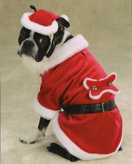 SMALL Santa Claus Pet Halloween Dog Costume Christmas