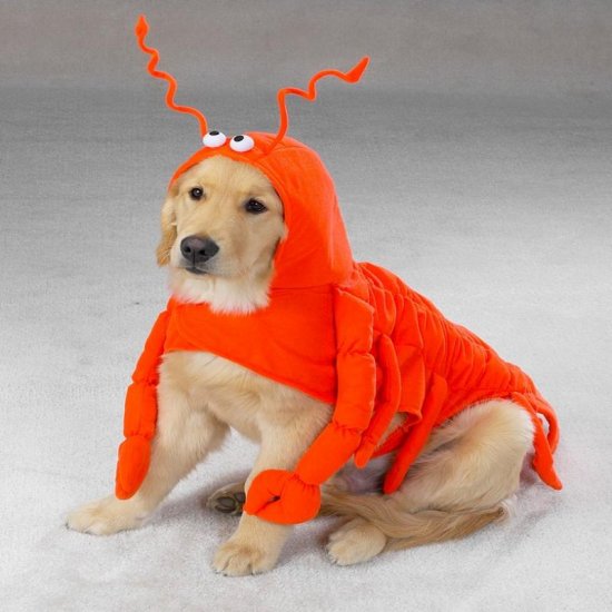 X-SMALL Lobster Paws Pet Halloween Dog Costume