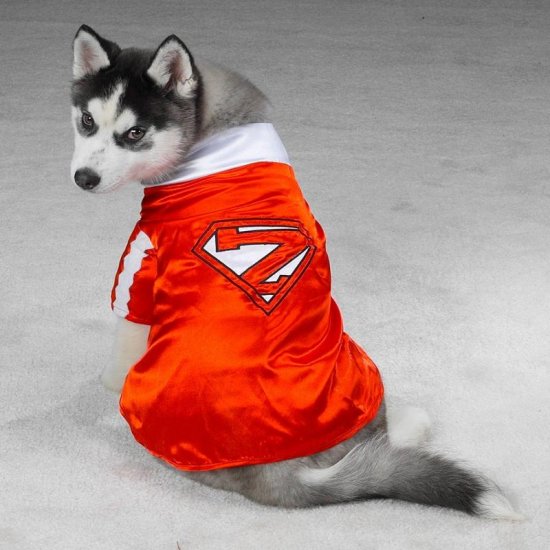 SMALL Mighty Mutt Pet Halloween Dog Costume Superman