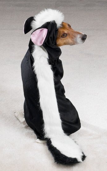 X-LARGE Little Stinker Pet Halloween Dog Costume Skunk