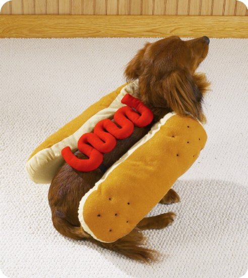 SMALL Hot Diggity Dog Halloween Pet Costume Ketchup or Mustard