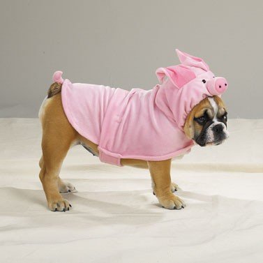 MEDIUM Piggy Pooch Pet Halloween Dog Costume Pig