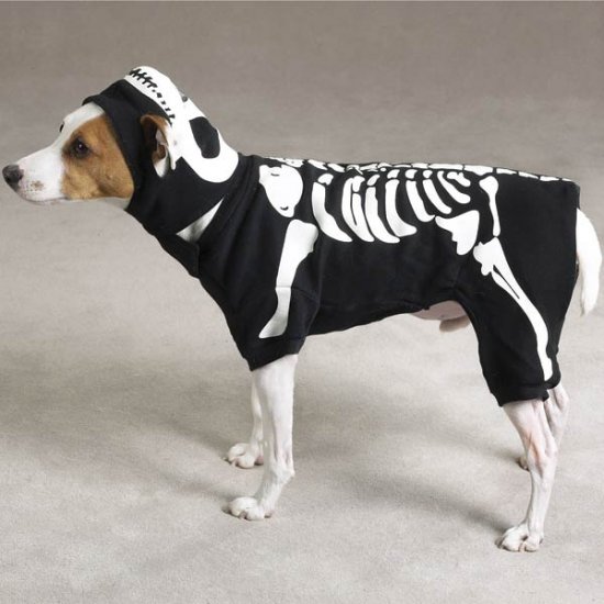MEDIUM Glowing Boney Dog Halloween Costume Pet Bones Skeleton Spooky Glow in the Dark