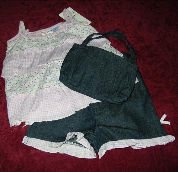 BT Kids Purple Gingham Shorts Set w/Purse Sz 3T NWT FREE SHIPPING!!!
