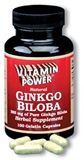 Ginkgo Biloba (Leaves) 385 mg Tablets 100 Count
