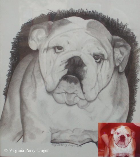 Custom Portrait of Your Pet by Virginia Perry-Unger