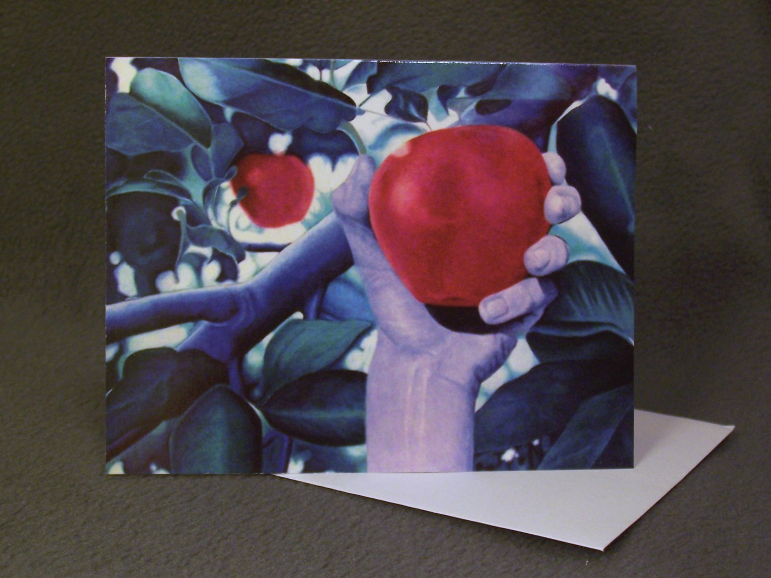 4 Blank Greeting Cards Notecards- "William"- Colored Pencil Artwork