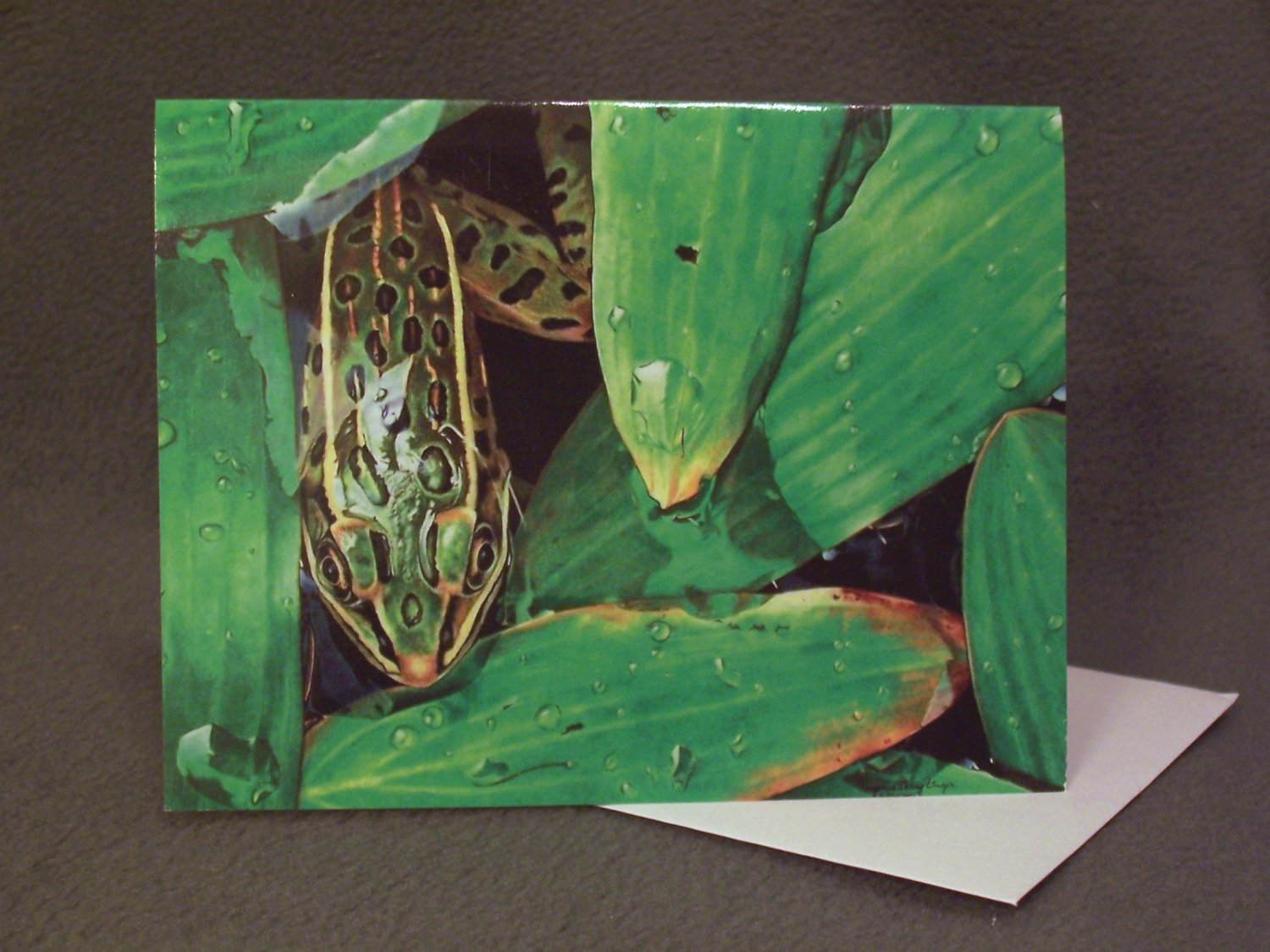 4 Blank Greeting Cards Notecards- "Finished Rendering of Greens"- Frog- Colored Pencil Artwork-