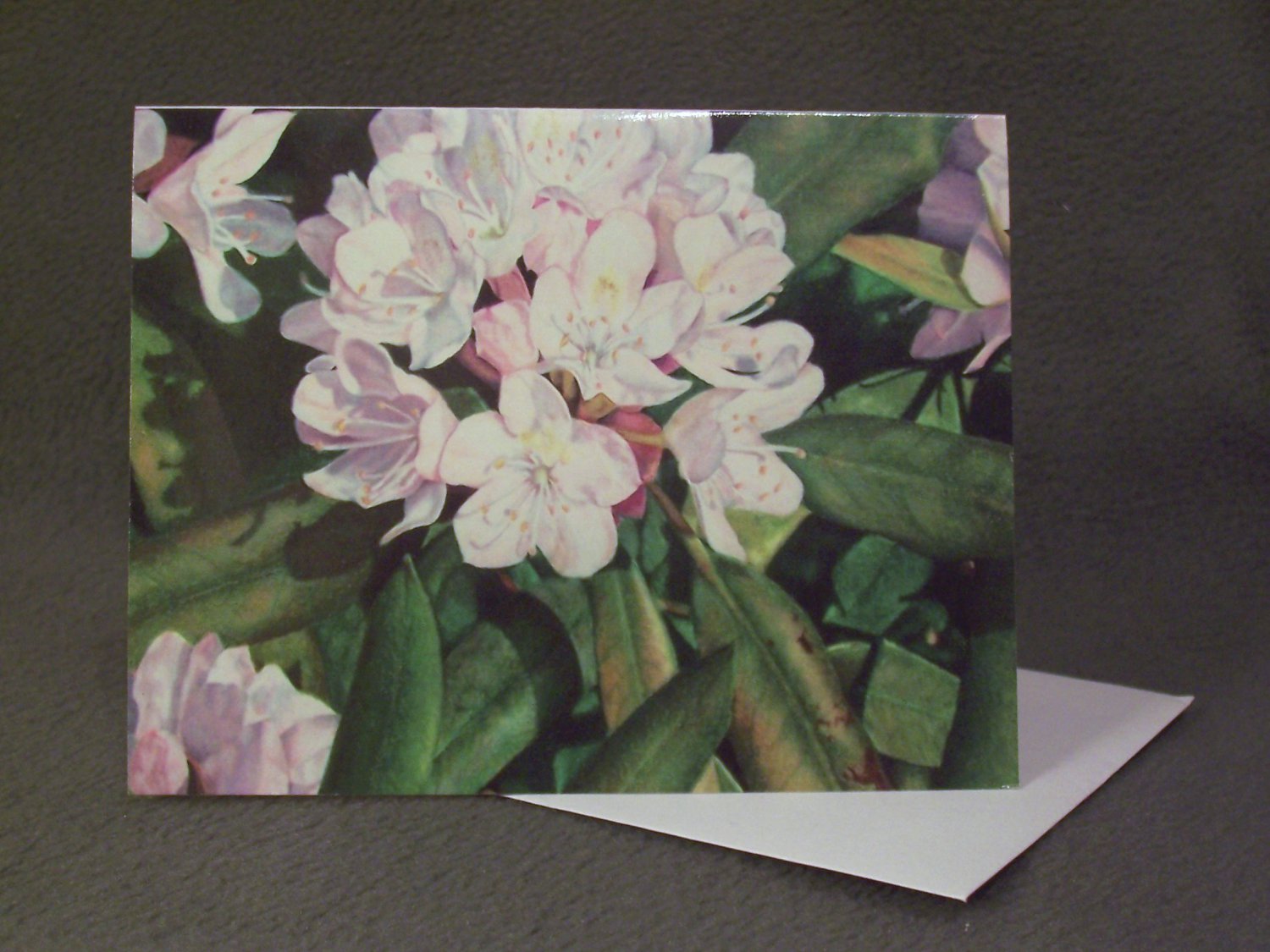 4 Blank Greeting Cards Notecards- "Rhododendron"- Colored Pencil Artwork