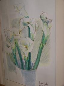 White Cartuches