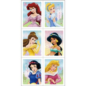 DISNEY PRINCESS FTF STICKER