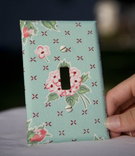Fabricated Switch Plate (Cute & Quaint)