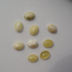 Butterscotch Amber Oval 9x7mm 2pcs