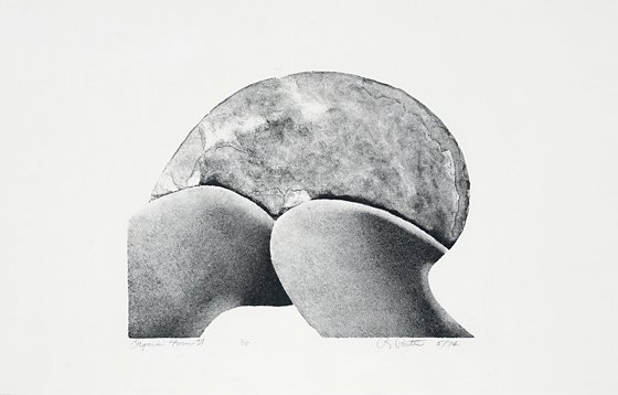 Organic Form 37, by Robert Porter (1924-1984)