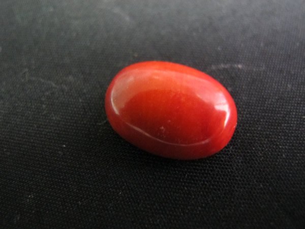 Red Coral Sea Bamboo Coral 13*18 mm Oval Cabochons for jewellery making-Free shipping
