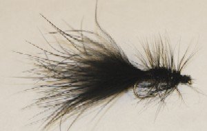 Black Wooly Bugger