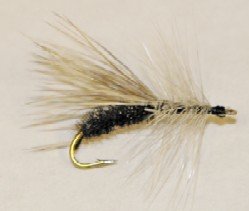 Peacock Caddis