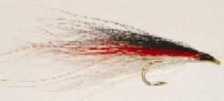 Red Sided Shiner bucktail
