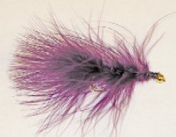 Purple Marabou leech