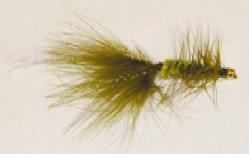 Olive Flash Bugger