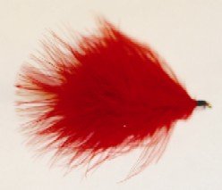 Red Leech