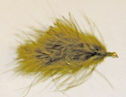 Olive marabou leech