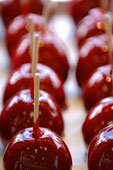 Sweet Tooth Vending