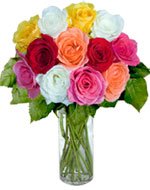 grower fresh flower, diliver all the world