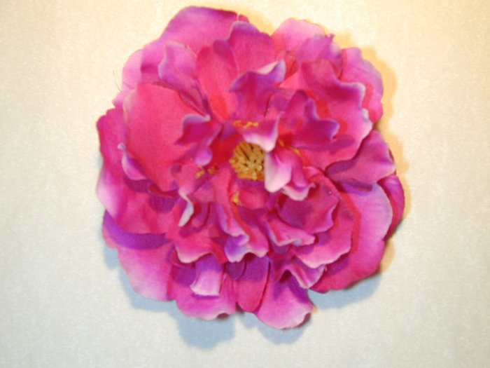Purple peony
