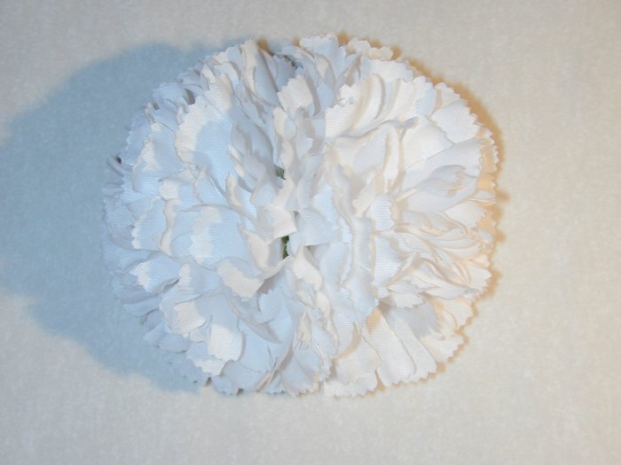 White carnation