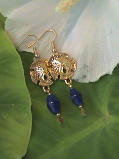 Blue sanddollar