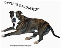 Pitbull T-shirt "give pits a chance"
