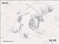 Pitbull T-shirt "life is the pits drawing"
