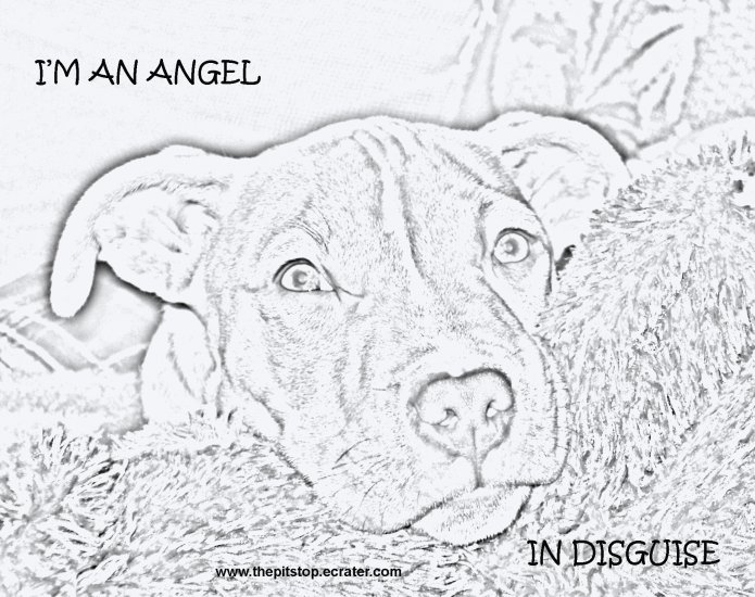 Pitbull T-Shirt "im an angel drawing"